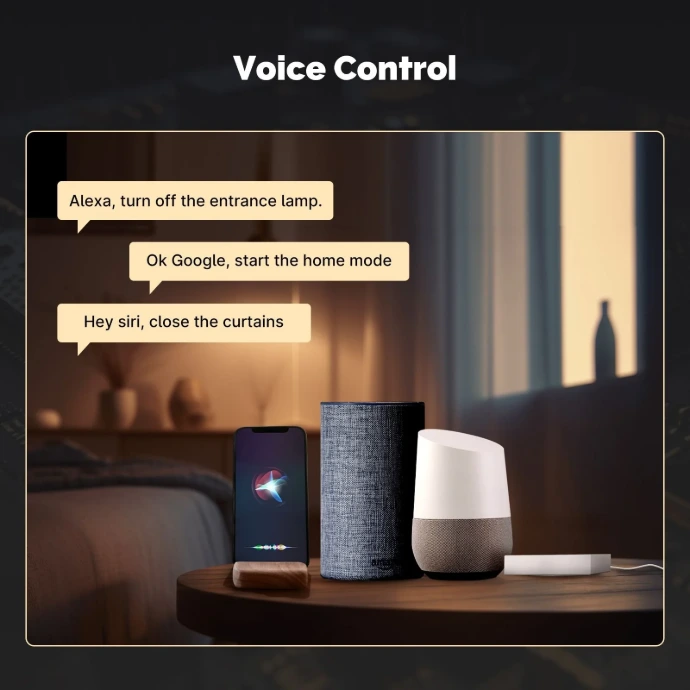 Voice control compatibility